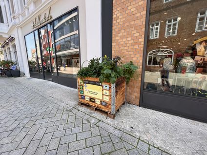 VRG_ImmerBunt_Bluehkasten__19_